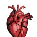 포항시남구44 이미지