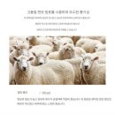 베스트 | 정장 니트 베스트 후기