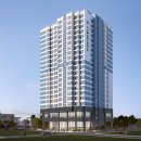 스테빌리움 이미지