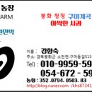 약초민박 이미지