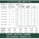 버드레인 이미지