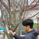 감사랑스포렉스