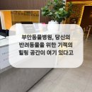 부안동물병원 이미지