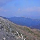 번암무룡고개로 이미지