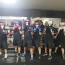 부산챔프복싱 이미지