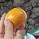 척과농장 이미지