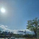 구미대형약국 이미지