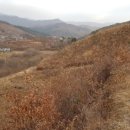 삼막골목장 이미지