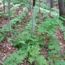 재중농장 이미지