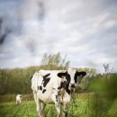 협동식품 이미지