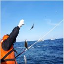 공현진항 이미지