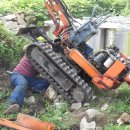 충실농장 이미지