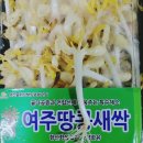 [종로구] 성재전통건축자료관