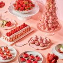 용산-서빙-178 이미지