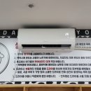 댕포유 이미지