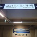 으뜸50안경 갈매역점 이미지