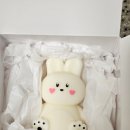 데이러블 이미지