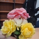 (주)부국랩테크 | 랩 테크 4달 후기