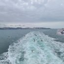 영친회 회원들과 함께 떠나는 대천(보령) 힐링여행...자연과 사람을 잇는 행복한 여행되다 이미지