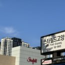 여성골프채풀세트 추천! 신형 다이와 엘파 풀세트 최저가로 구매한 후기