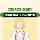 서울특별시 마포구 성산동 교정치과 총정리
