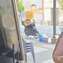 24년 9월 4주 일기💓