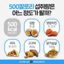 핑&온열다이어트