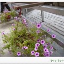 성심조경 이미지