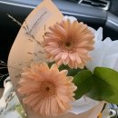 더루아르플라워용인