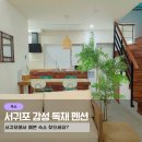 살랑 | 제주도 서귀포 예쁜 숙소 제주 살랑 독채 펜션 후기