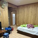 형아네민박 | 태안 애견동반 오션뷰 캠핑장 추천! 백리포 바다와파도소리캠핑장 2박3일 후기