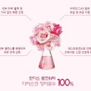 판디스 이미지