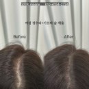 모아미(moami) 이미지