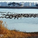 풍경공원 이미지