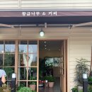 카페황금나무 이미지