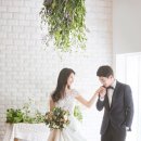 브라이트스튜디오 이미지