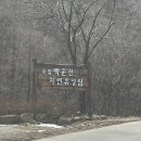 스테이서곡 이미지