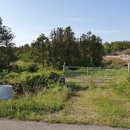 서광리-25 이미지