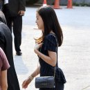 너구리 유격대 이미지