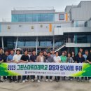그린인사이트