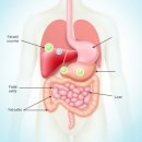 (주)코랩 | 씨코랩 단기간 후기 부작용 포함 cicolab