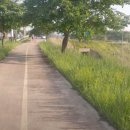 상주보자전거민박 이미지