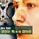 젊음과 노화의 차이, 피부에 쌓이는 독(毒)을 잡아라 이미지