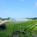 고성사랑부동산 공인중개사사무소 이미지