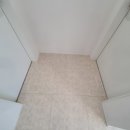 무지개대림 이미지