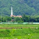 용문산 은행나무길(물소리길 6코스) 이미지