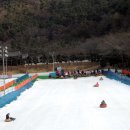 중앙로 느티나무길 이미지