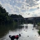 까치내계곡펜션 이미지