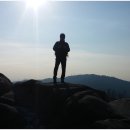 장미공원길 이미지