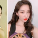 선미헤어라인